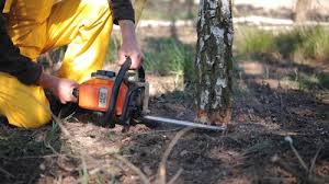 Lawn Drainage Solutions in Wapello, IA